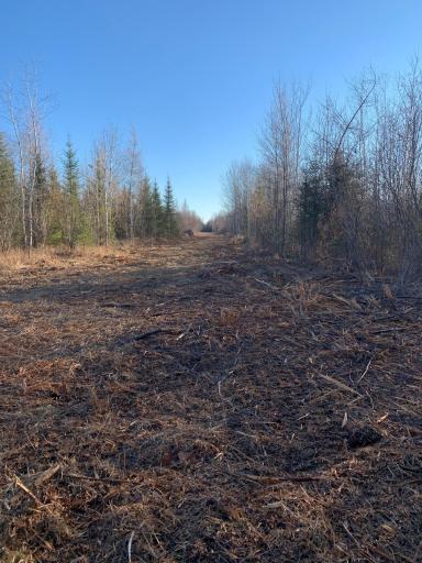 10498 County Road 30, Big Falls, MN 56627