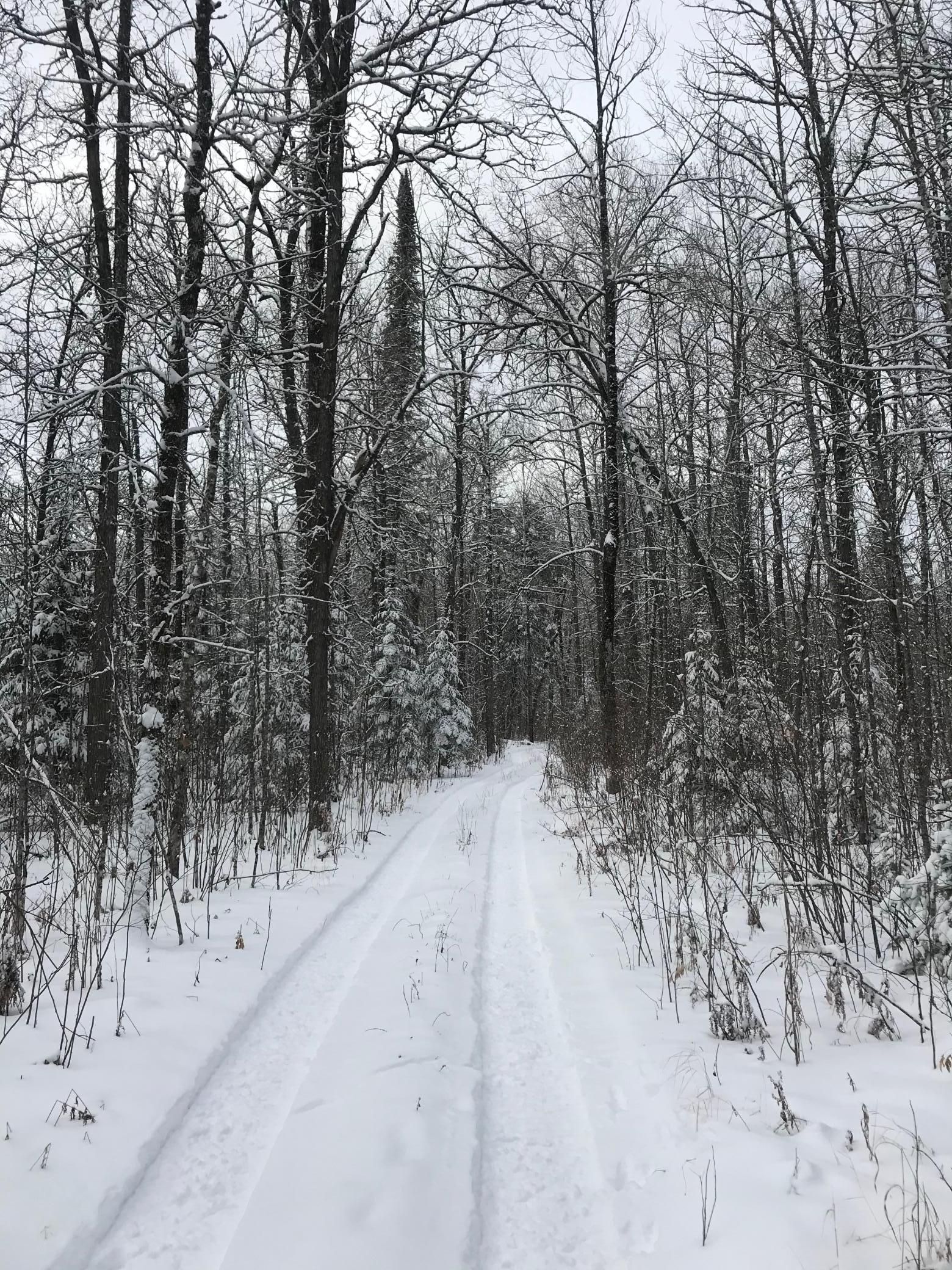 Winter Trail into the cabin.jpeg
