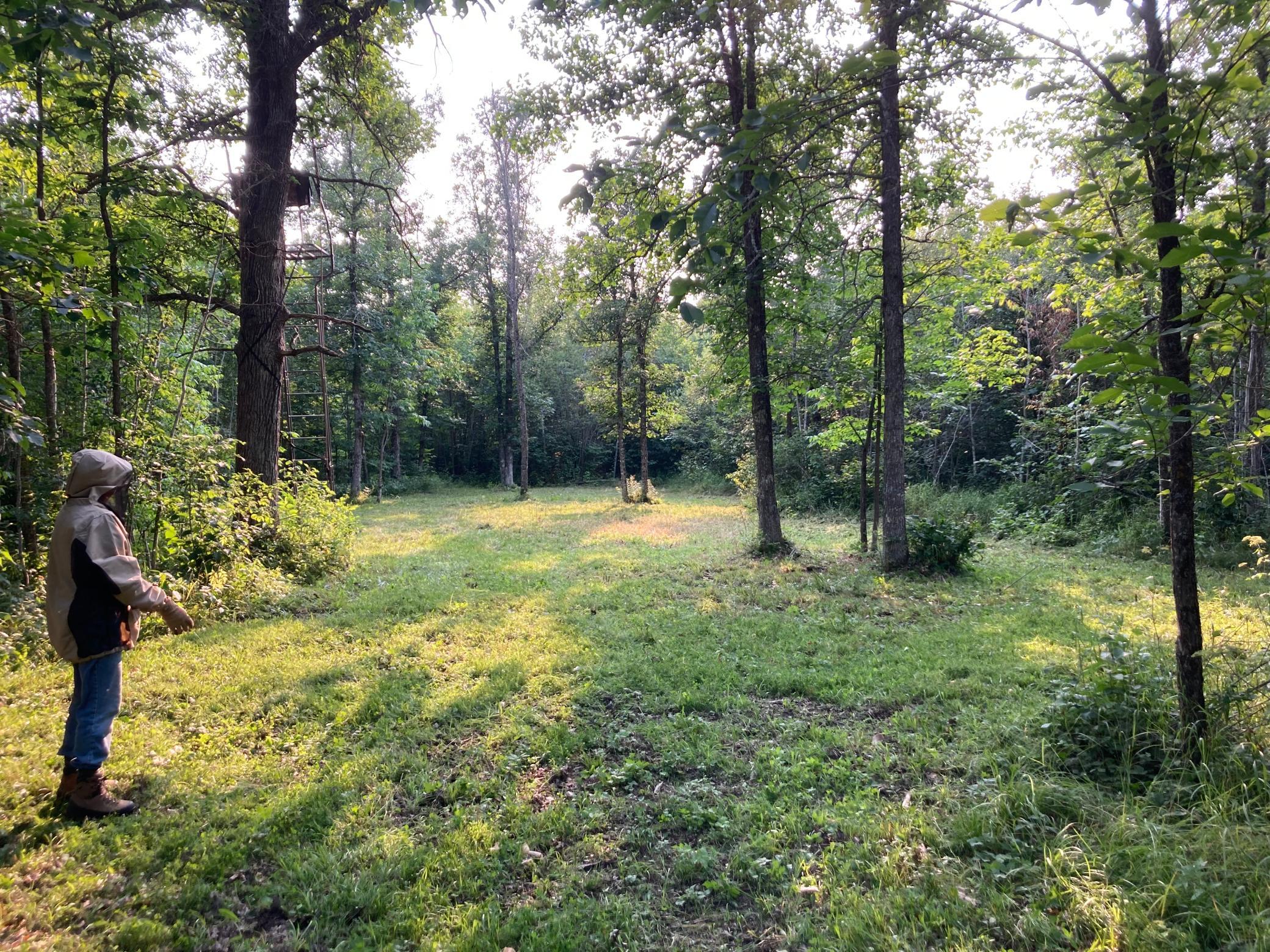 North Oak Food Plot.jpeg