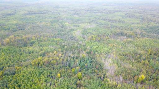 Travis - 282 Acres - 60.jpeg
