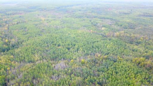 Travis - 282 Acres - 59.jpeg