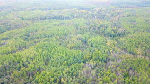 Travis - 282 Acres - 58.jpeg