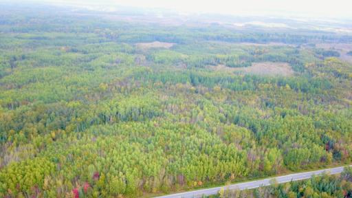 Travis - 282 Acres - 49.jpeg