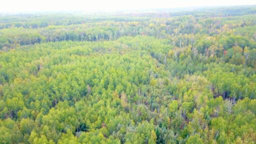 Travis - 282 Acres - 44.jpeg