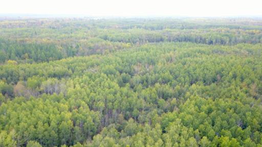 Travis - 282 Acres - 43.jpeg