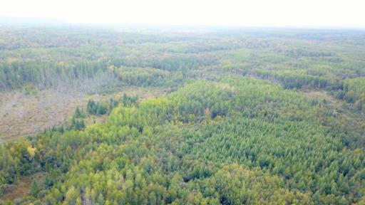 Travis - 282 Acres - 40.jpeg