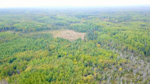 Travis - 282 Acres - 39.jpeg