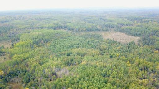Travis - 282 Acres - 38.jpeg