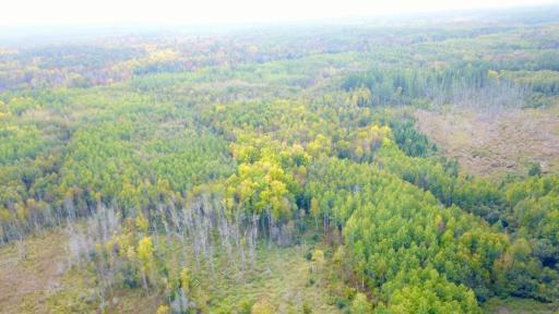 Travis - 282 Acres - 35.jpeg