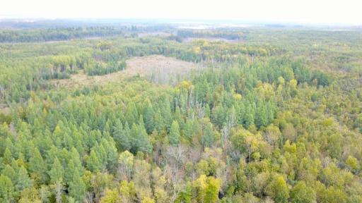 Travis - 282 Acres - 15.jpeg