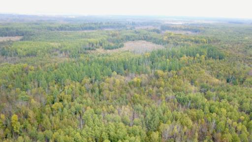 Travis - 282 Acres - 14.jpeg