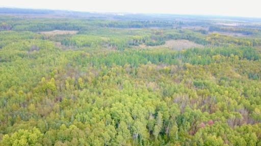 Travis - 282 Acres - 13.jpeg
