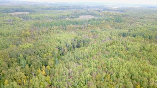 Travis - 282 Acres - 12.jpeg