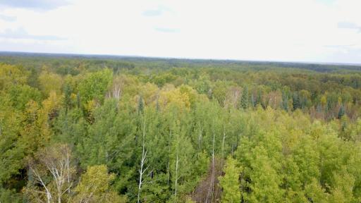 Travis - 282 Acres - 9.jpeg