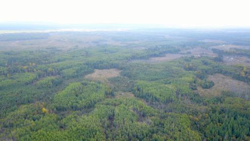 Travis - 282 Acres - 7.jpeg
