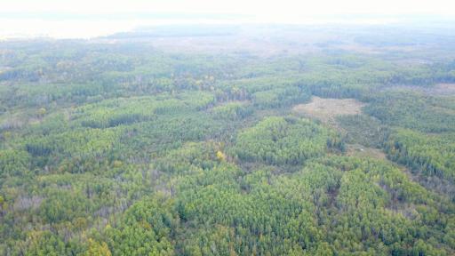 Travis - 282 Acres - 6.jpeg