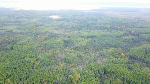 Travis - 282 Acres - 5.jpeg