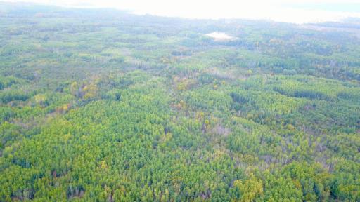 Travis - 282 Acres - 4.jpeg
