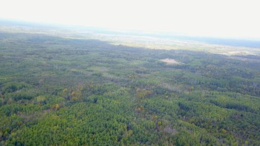 Travis - 282 Acres - 3.jpeg