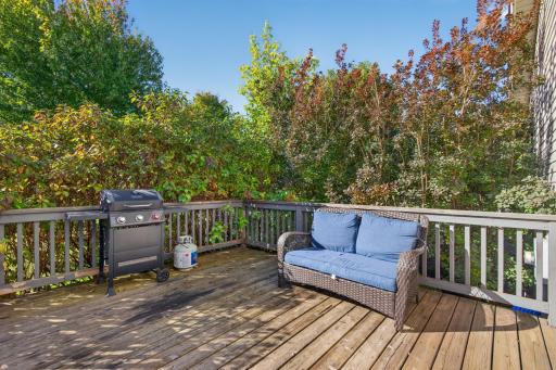 17027 Garnet Street NW, Ramsey, MN 55303