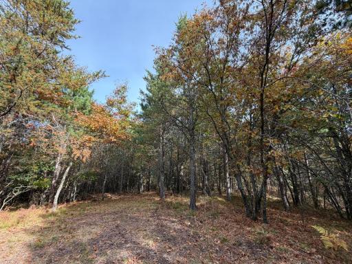 14375 Grell Road, Grantsburg, WI 54840