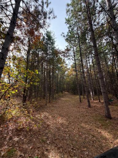14375 Grell Road, Grantsburg, WI 54840