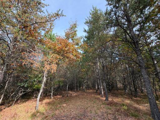 14375 Grell Road, Grantsburg, WI 54840