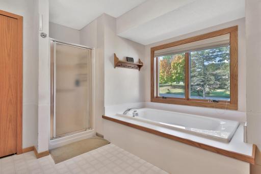 Primary bath with jetted tub and separate shower, and double sinks.