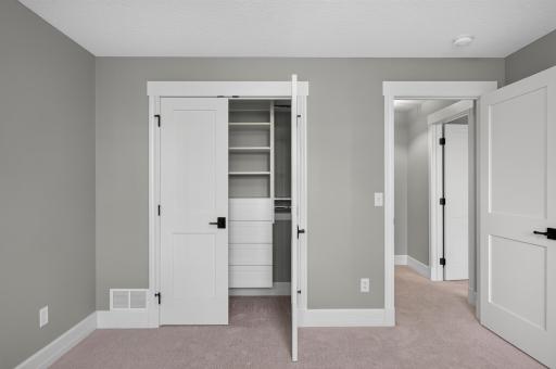 Lower Level Bedroom #2 with Built-In closet system