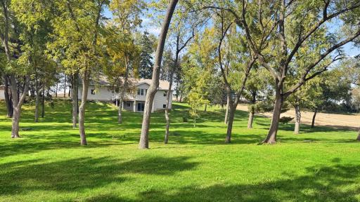 Expansive yard