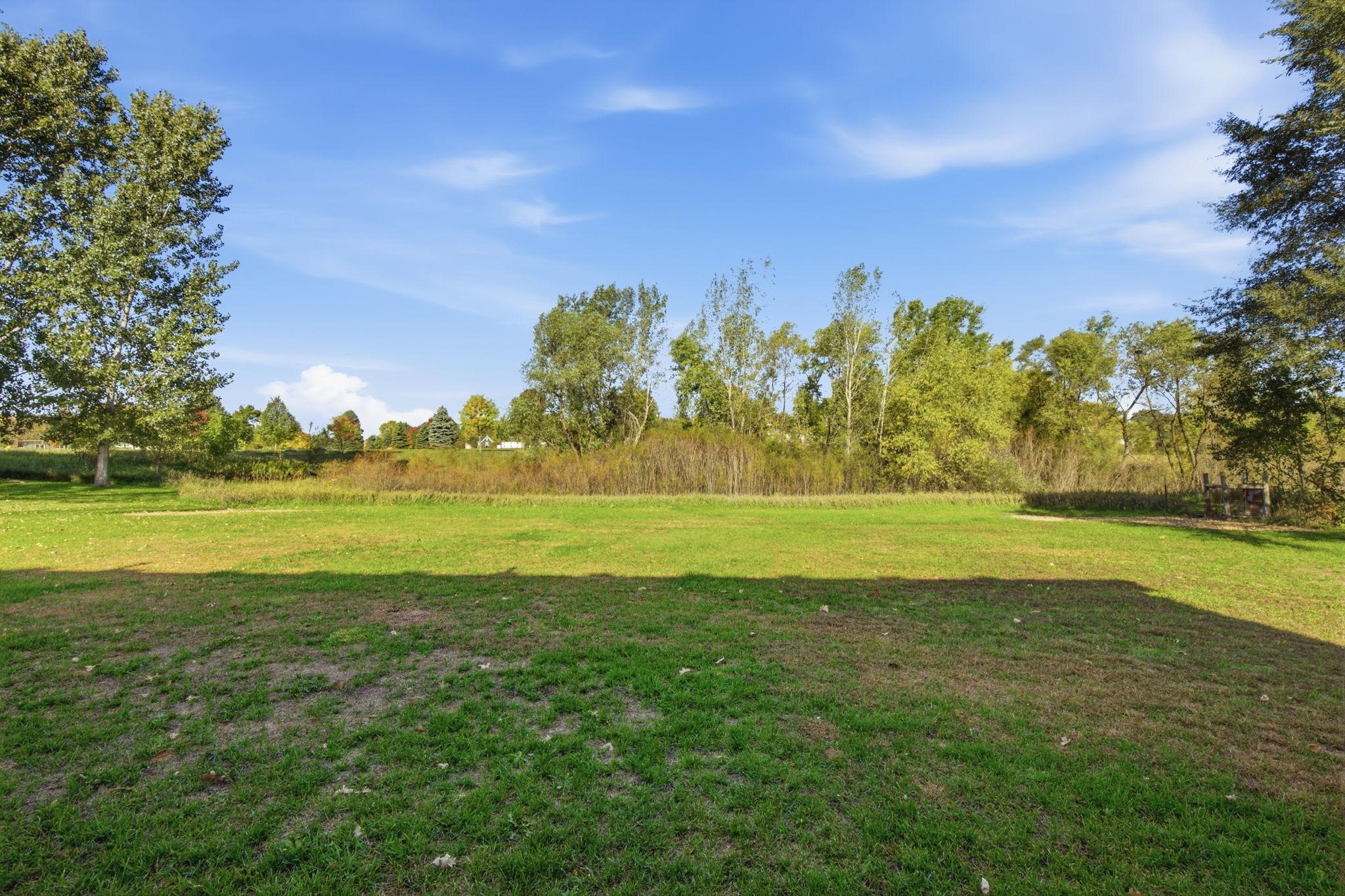 Backyard View
