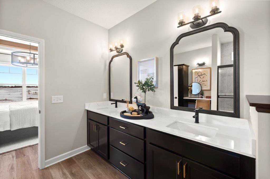Dual Sink Vanity, Quarts Countertops, LVP flooring !