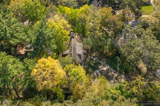 A large wooded lot in the city is a rare find!