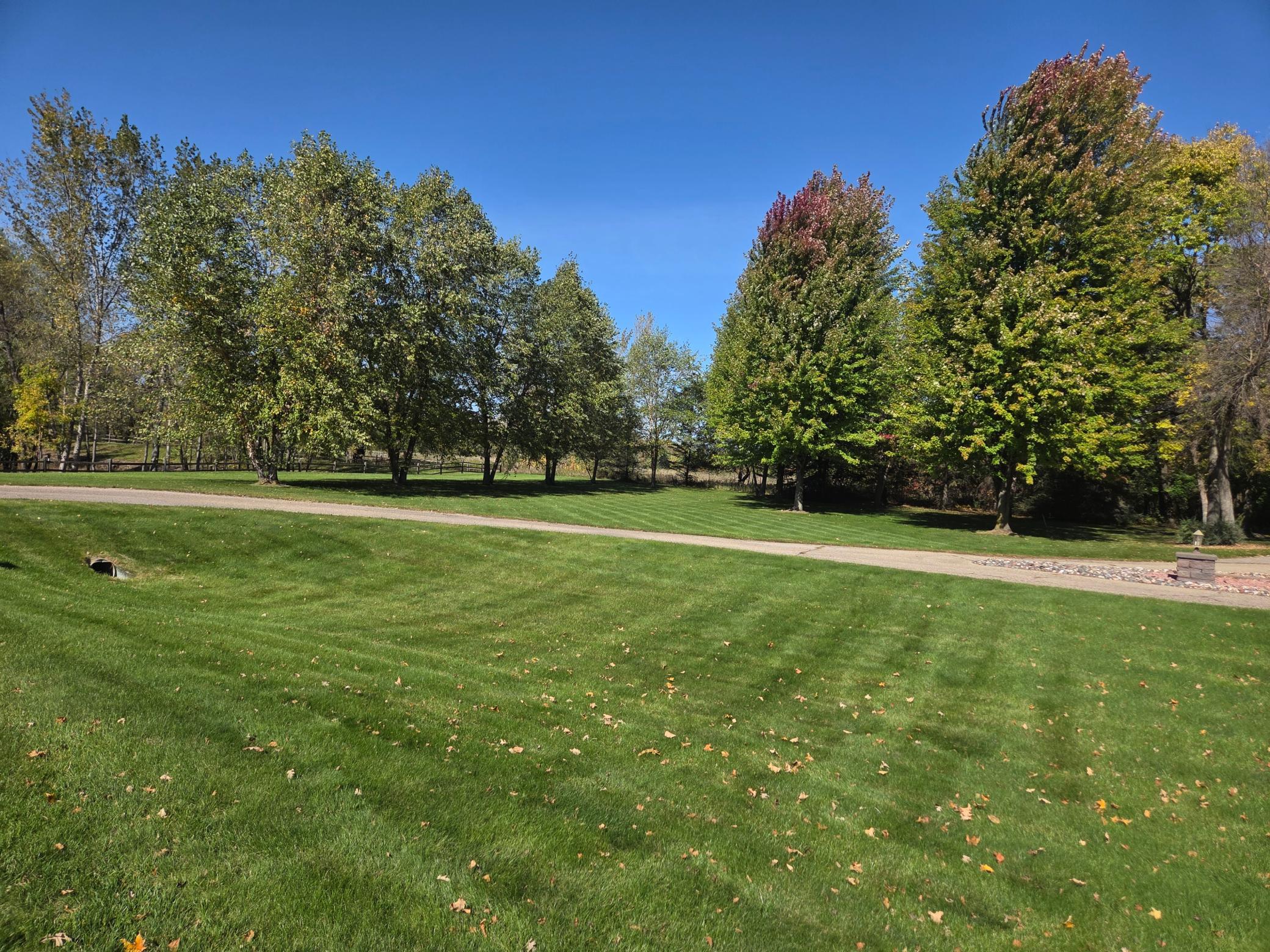 Gorgeous acreage & trees