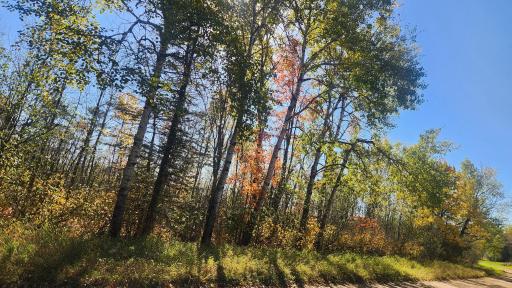 TBD County Road 55 Road NE, Remer, MN 56672