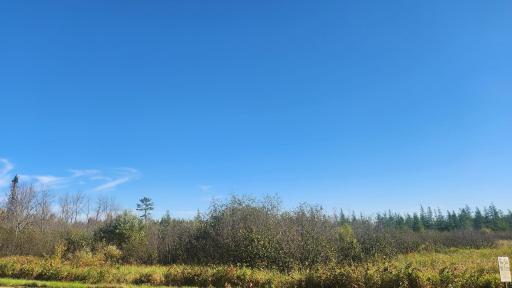 TBD County Road 55 Road NE, Remer, MN 56672