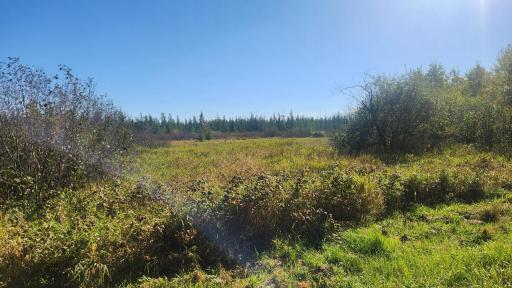 Many Acres of Public Property to Explore!!!