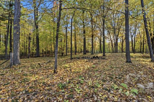 11688 Elm Circle, Pine City, MN 55063
