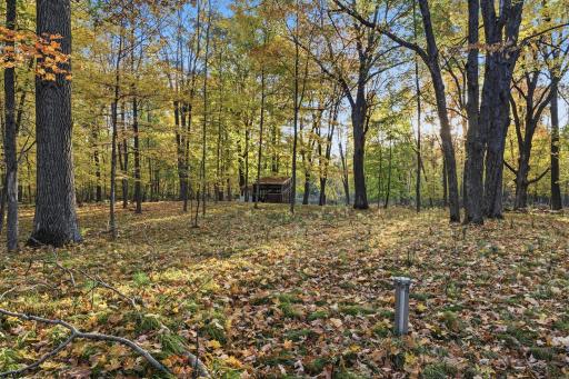11688 Elm Circle, Pine City, MN 55063