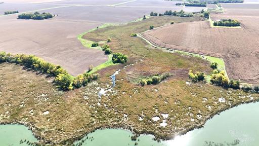 XXX 230th, Minnesota Lake, MN 56068