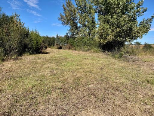 XXX 230th, Minnesota Lake, MN 56068