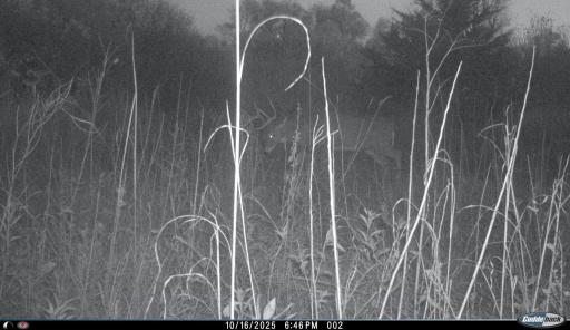 XXX 230th, Minnesota Lake, MN 56068