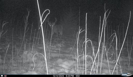 XXX 230th, Minnesota Lake, MN 56068