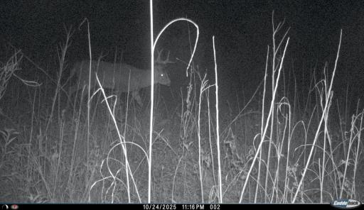 XXX 230th, Minnesota Lake, MN 56068