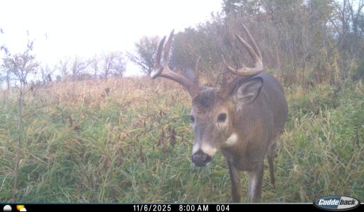 XXX 230th, Minnesota Lake, MN 56068