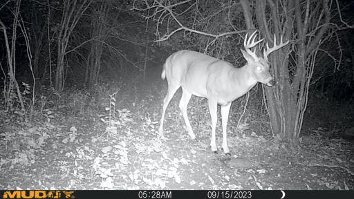 XXX 230th, Minnesota Lake, MN 56068