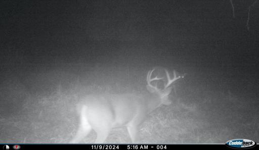 XXX 230th, Minnesota Lake, MN 56068