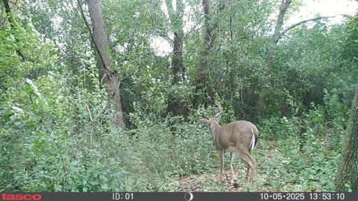 XXX 230th, Minnesota Lake, MN 56068