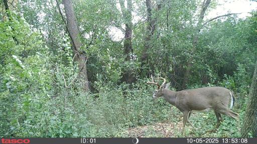 XXX 230th, Minnesota Lake, MN 56068