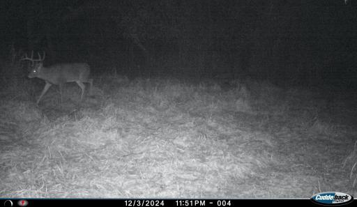 XXX 230th, Minnesota Lake, MN 56068